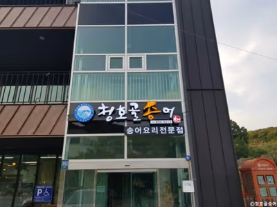 청호골송어