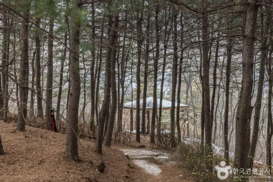서울
