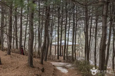 서울