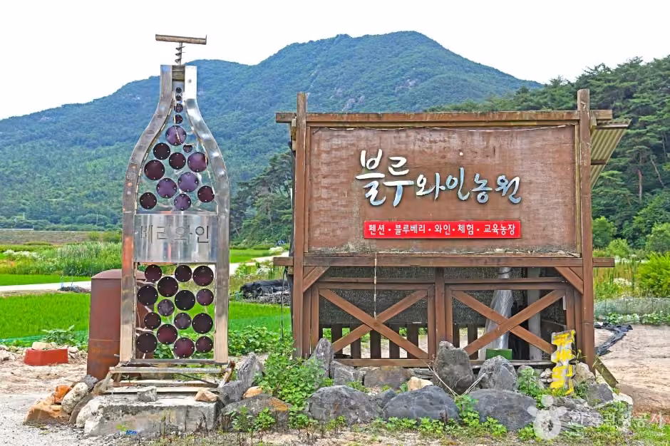 영동블루와인농원