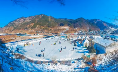 초리넝쿨마을