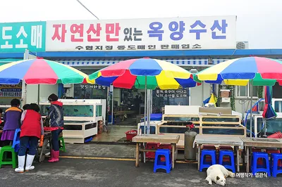 옥양수산
