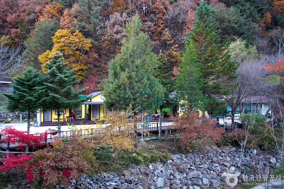 홍천 살둔마을