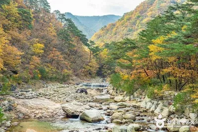 설악산 오색주전골