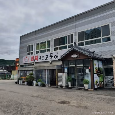 화덕품은 고등어