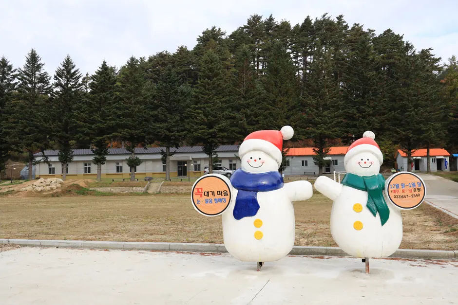 대기리야영장