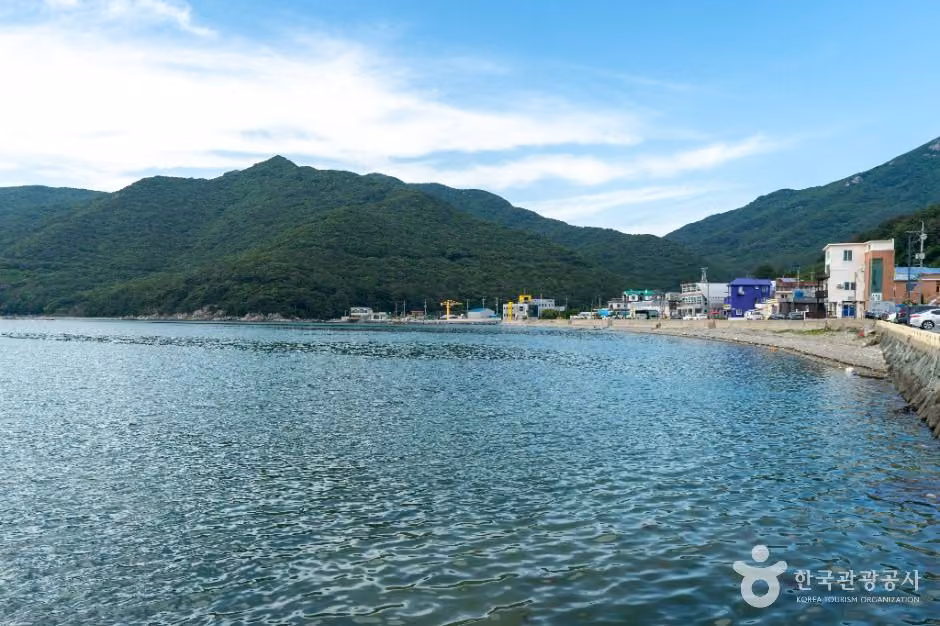 저구항