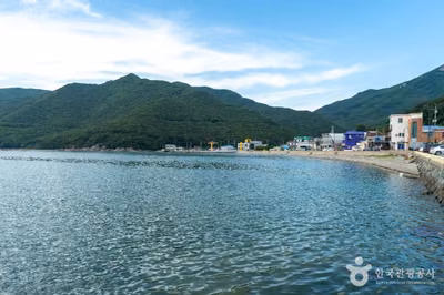 저구항