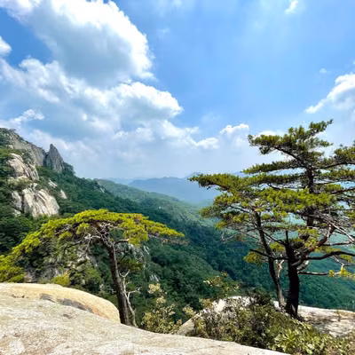 용화산 (강원평화지역 국가지질공원)