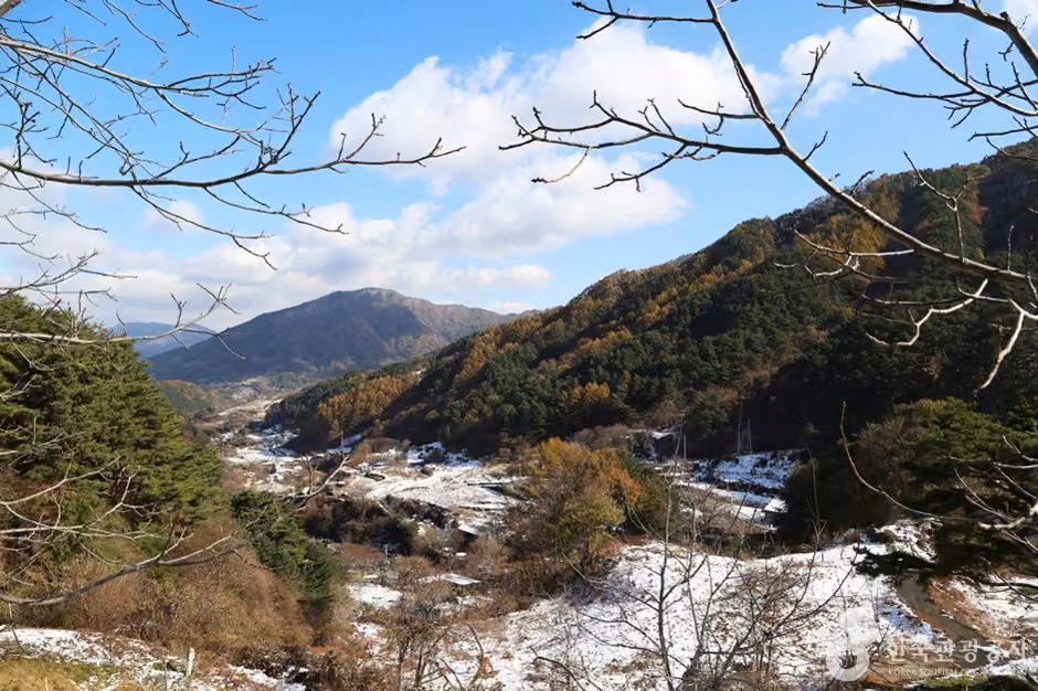 국립 지리산자연휴양림