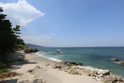 초곡해수욕장