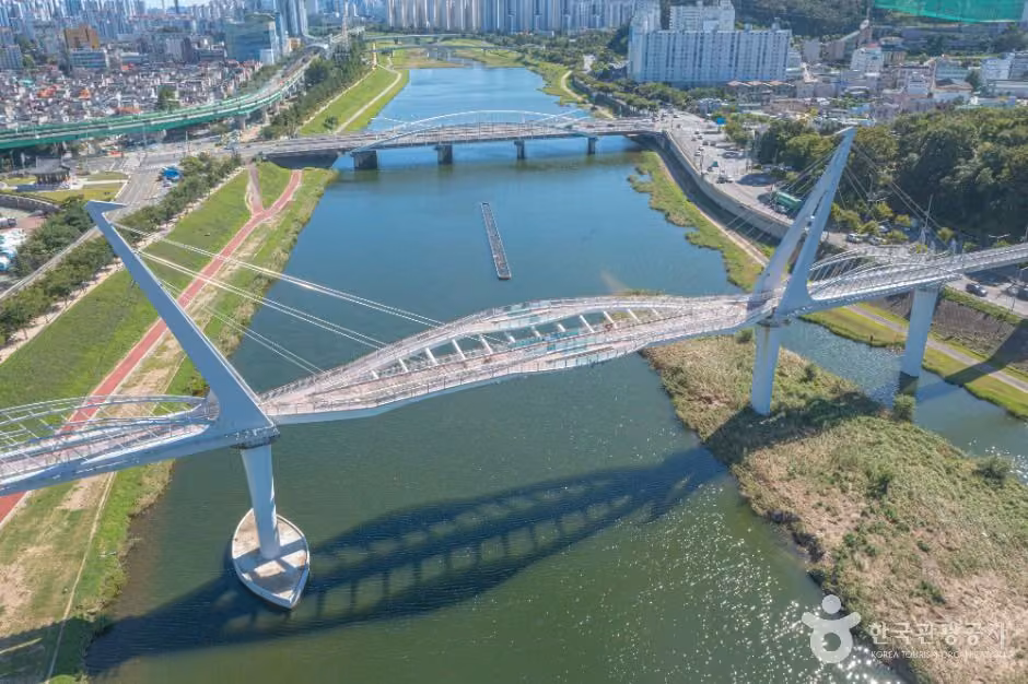 양산천 구름다리