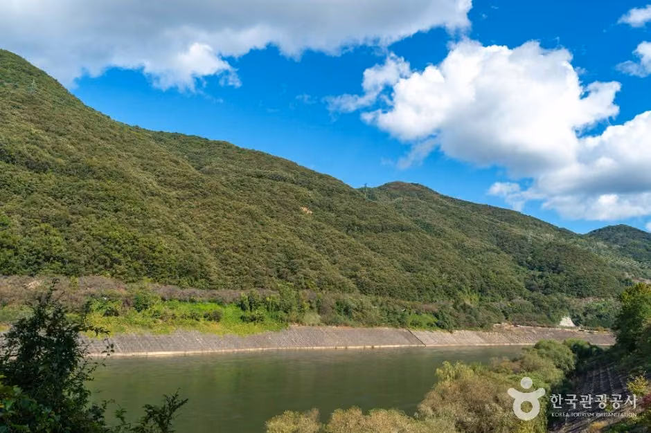 충주 강변길
