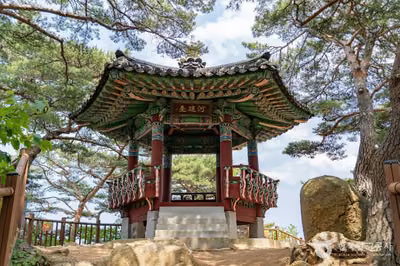 하조대