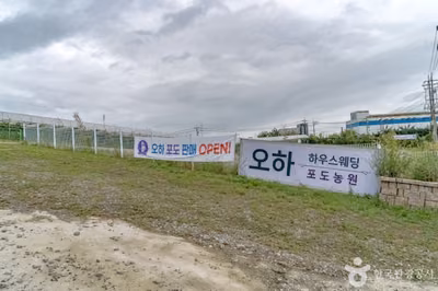 오하포도농원