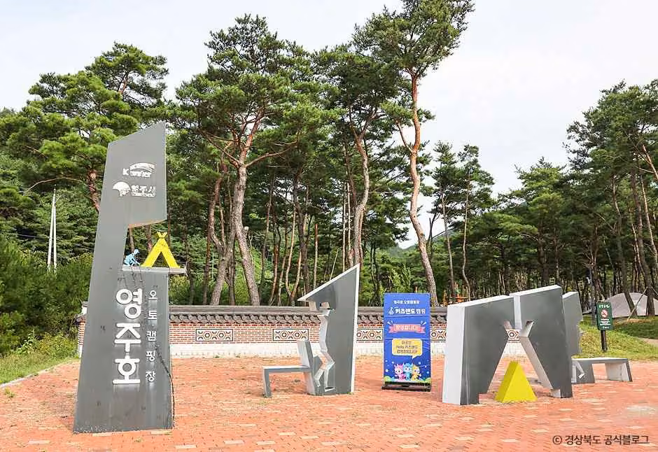 영주호오토캠핑장