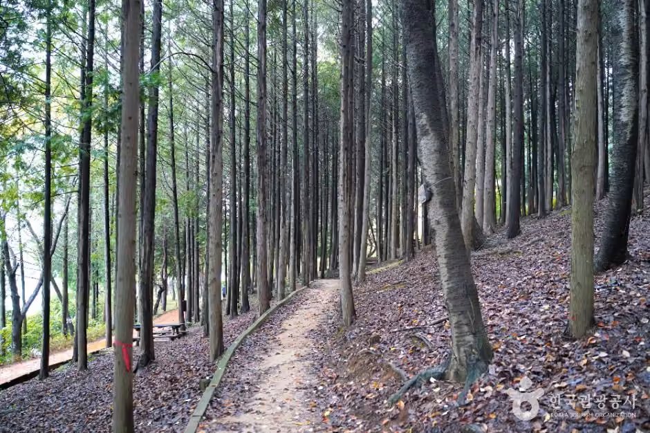 땅뫼산