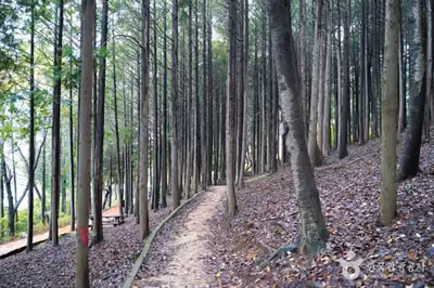 땅뫼산