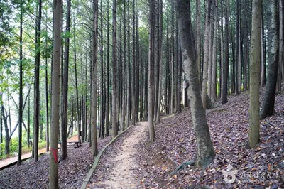 땅뫼산