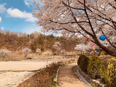 보현선원