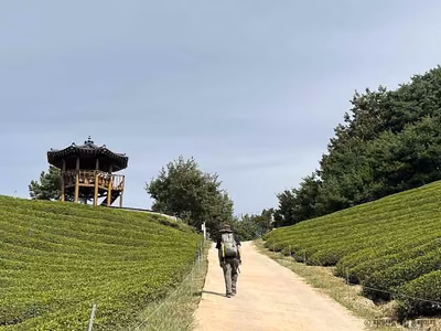 [지리산둘레길] 원부춘-가탄