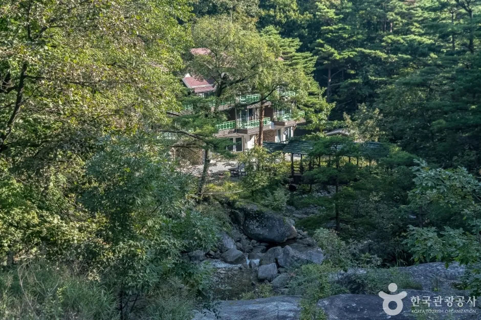 국립대관령자연휴양림