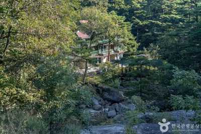 국립대관령자연휴양림
