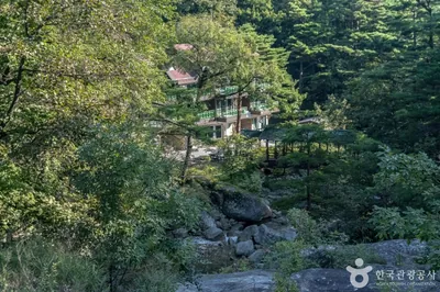 국립대관령자연휴양림