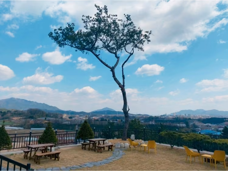 하늘29