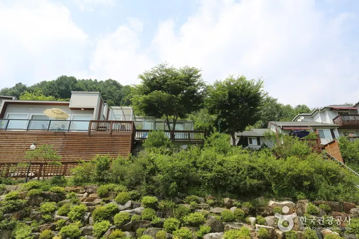 엘솔펜션