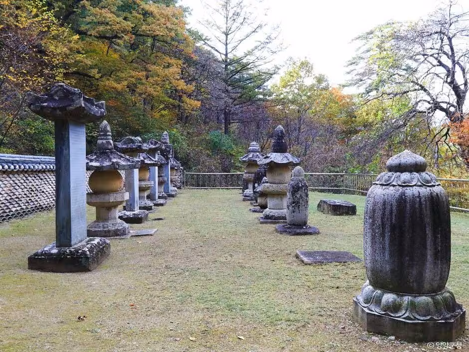 명주사부도군