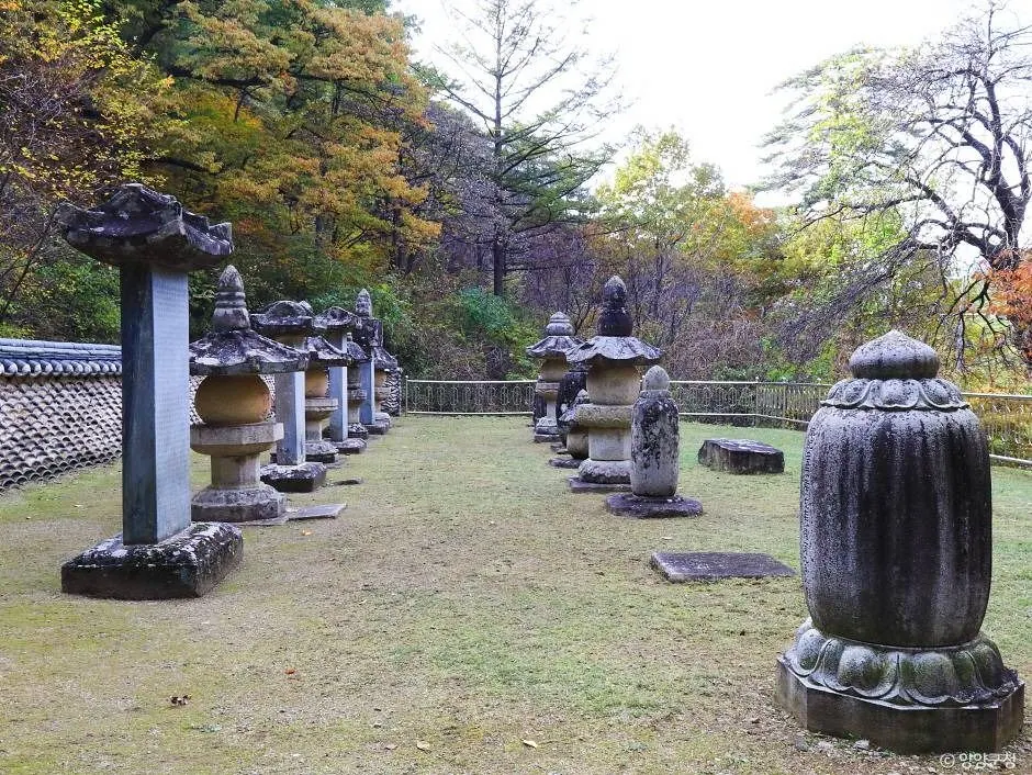 명주사부도군