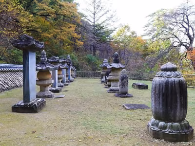 명주사부도군