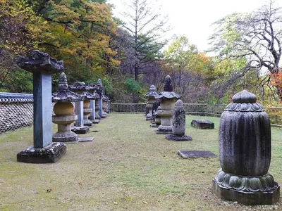 명주사부도군