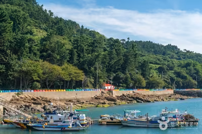 손죽도