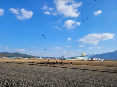 고성독수리생태체험관