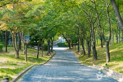 비둘기공원
