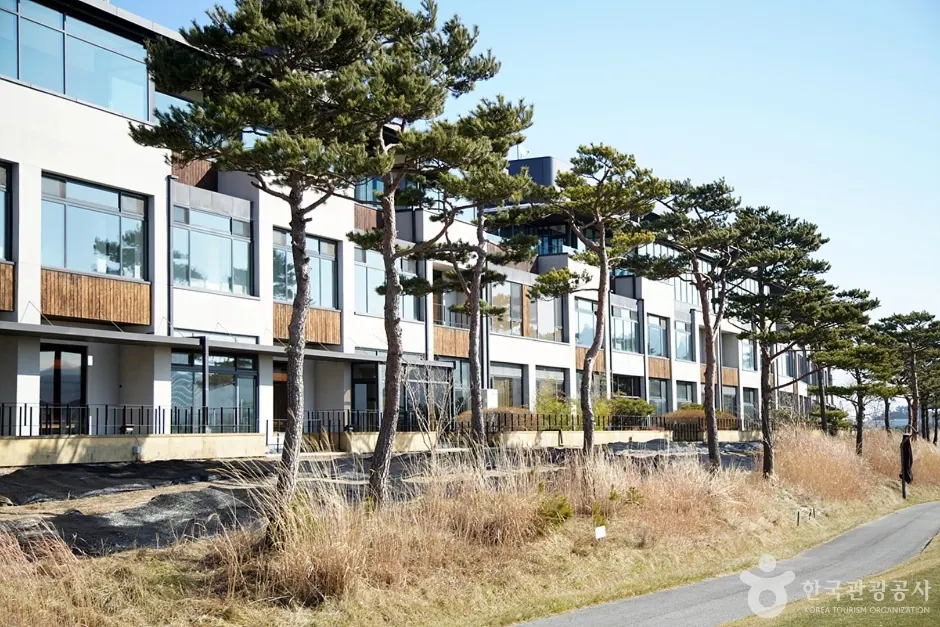 메이플비치 골프&리조트
