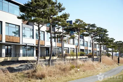 메이플비치 골프&리조트