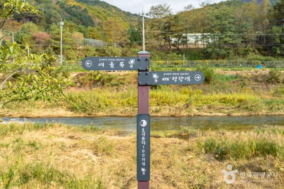 [효석문학100리길 2코스] 대화장터 가는 길