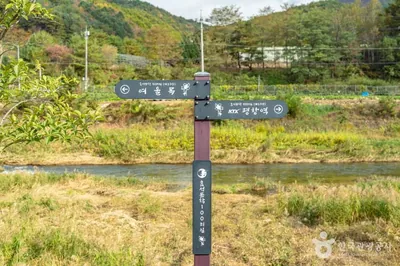[효석문학100리길 2코스] 대화장터 가는 길