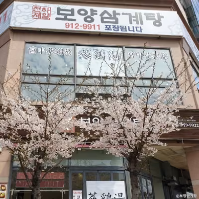 보양삼계탕