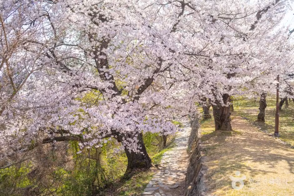 사천선진리성