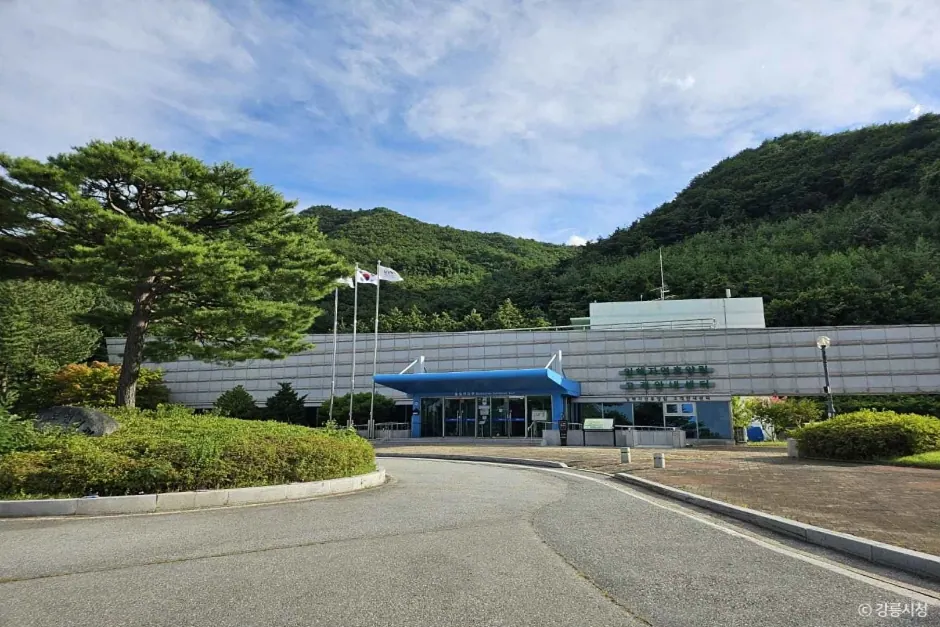 임해자연휴양림