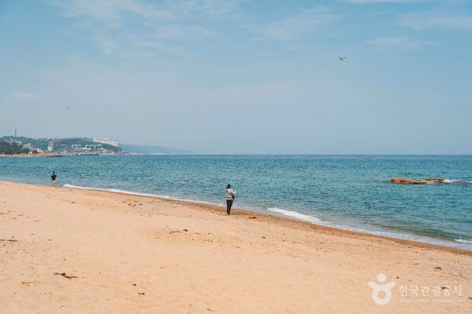 남호해수욕장