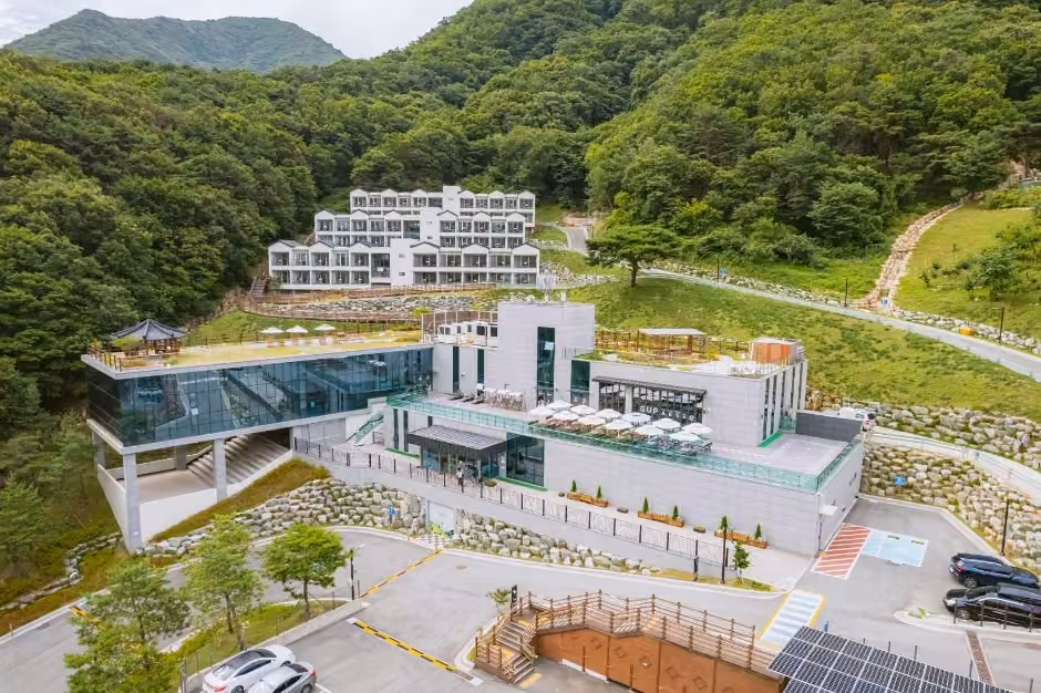 숲애서