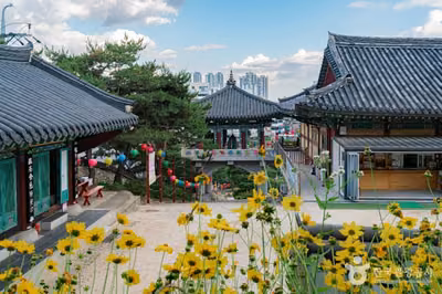 개운사(서울)