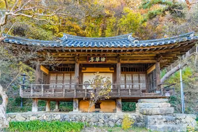 안동 체화정