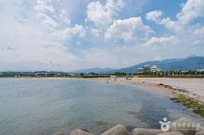 물치해수욕장