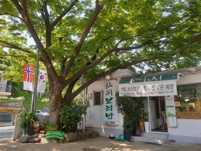선동보리밥